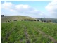 7155 South Gippsland Hwy, Loch VIC 3945