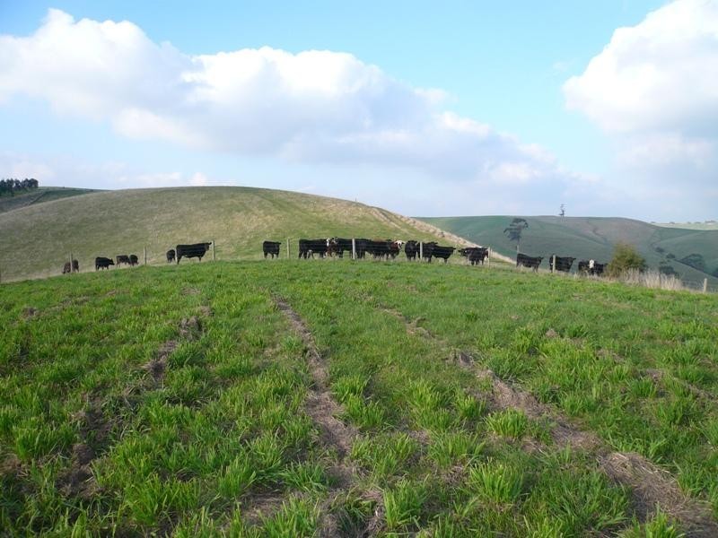 7155 South Gippsland Hwy, Loch VIC 3945