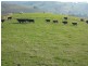 7155 South Gippsland Hwy, Loch VIC 3945