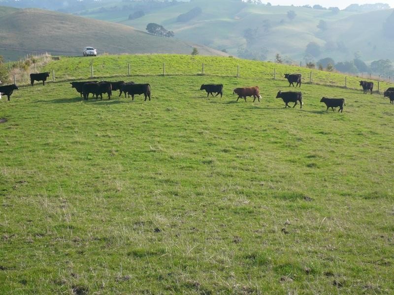 7155 South Gippsland Hwy, Loch VIC 3945