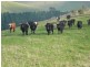 7155 South Gippsland Hwy, Loch VIC 3945