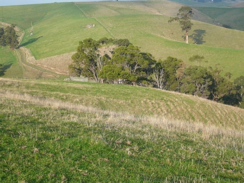 7155 South Gippsland Hwy, Loch VIC 3945
