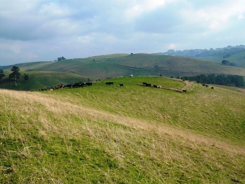 7155 South Gippsland Hwy, Loch VIC 3945