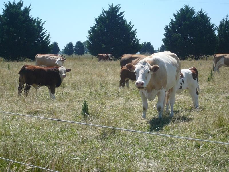 355 McGraths Road, Bass VIC 3991