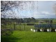 120 Ryeburn Road, Outtrim VIC 3951