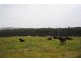 Lot 1/ Antonia Road, Boolarra VIC 3870