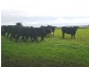 Wonthaggi VIC 3995