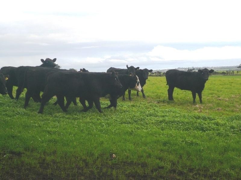 Wonthaggi VIC 3995