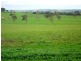Wonthaggi VIC 3995