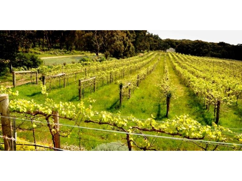 226 Williams Road, Loch VIC 3945