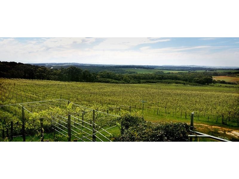 226 Williams Road, Loch VIC 3945