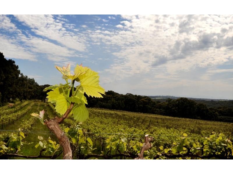 226 Williams Road, Loch VIC 3945