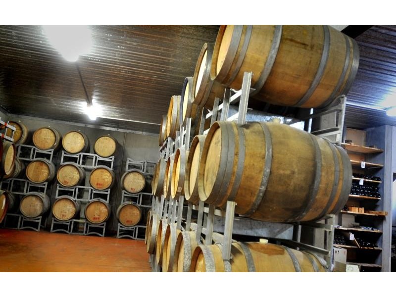 226 Williams Road, Loch VIC 3945