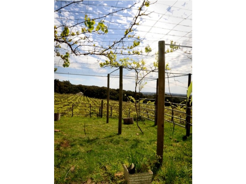 226 Williams Road, Loch VIC 3945