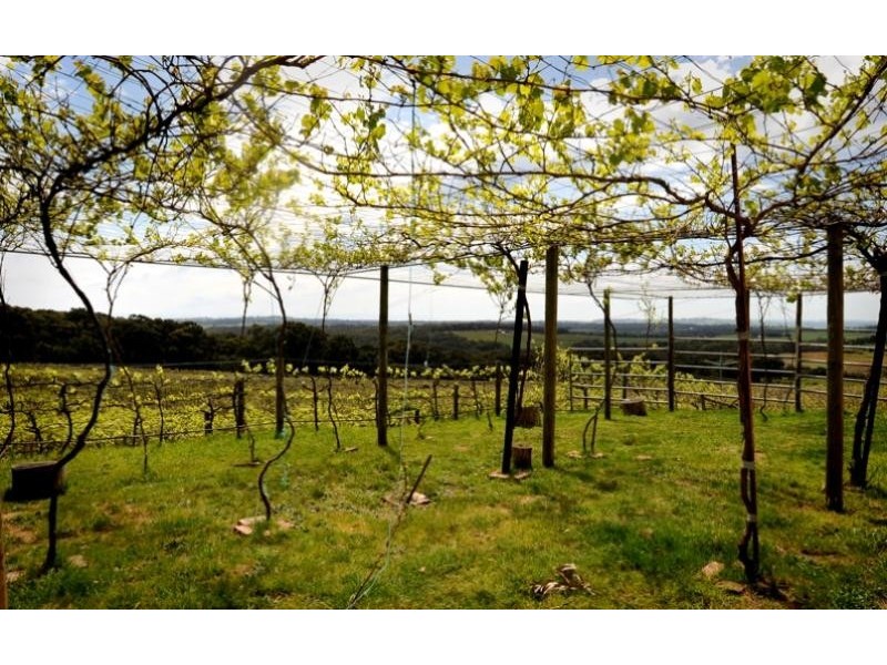 226 Williams Road, Loch VIC 3945