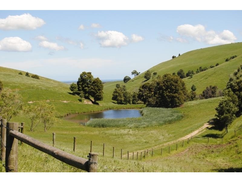 925 Korumburra-Wonthaggi Rd, Korumburra VIC 3950