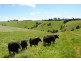 925 Korumburra-Wonthaggi Rd, Korumburra VIC 3950