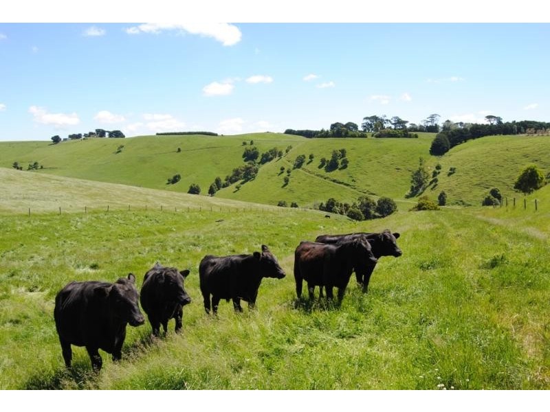 925 Korumburra-Wonthaggi Rd, Korumburra VIC 3950