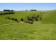 925 Korumburra-Wonthaggi Rd, Korumburra VIC 3950