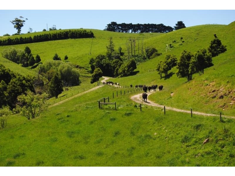 925 Korumburra-Wonthaggi Rd, Korumburra VIC 3950