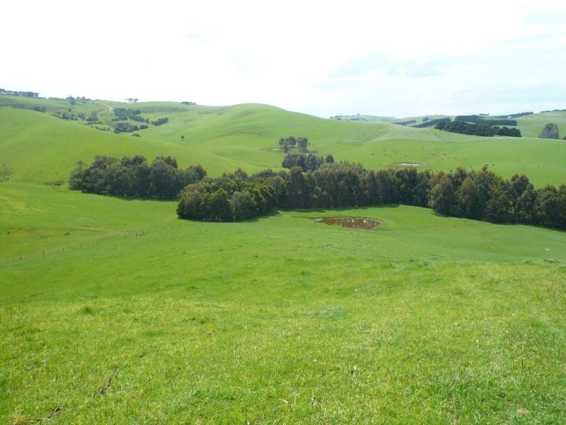 710 Glen Alvie Road, Glen Alvie VIC 3979