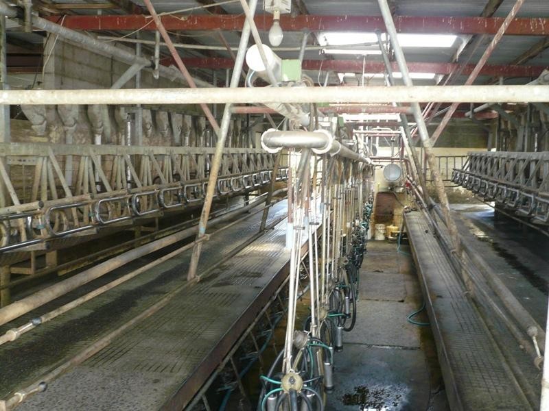 Lance Creek VIC 3995