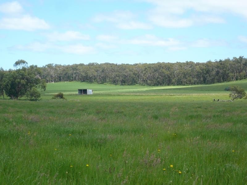 Lance Creek VIC 3995