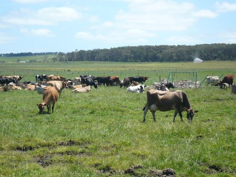 Lance Creek VIC 3995