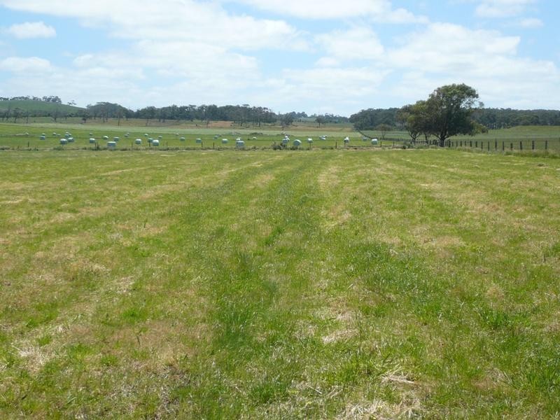 Lance Creek VIC 3995