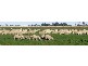 WARBRECCAN, Deniliquin NSW 2710