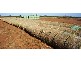 WARBRECCAN, Deniliquin NSW 2710