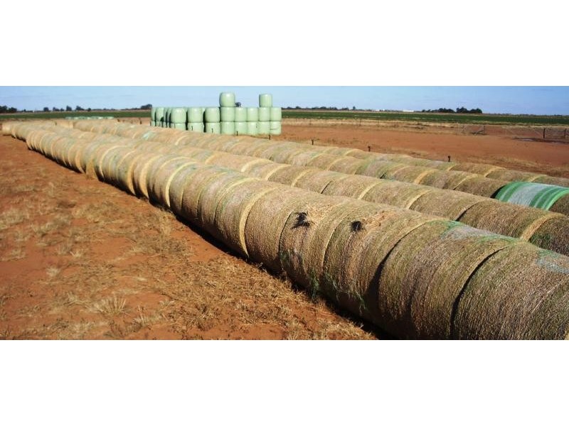 WARBRECCAN, Deniliquin NSW 2710