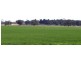 Conargo NSW 2710