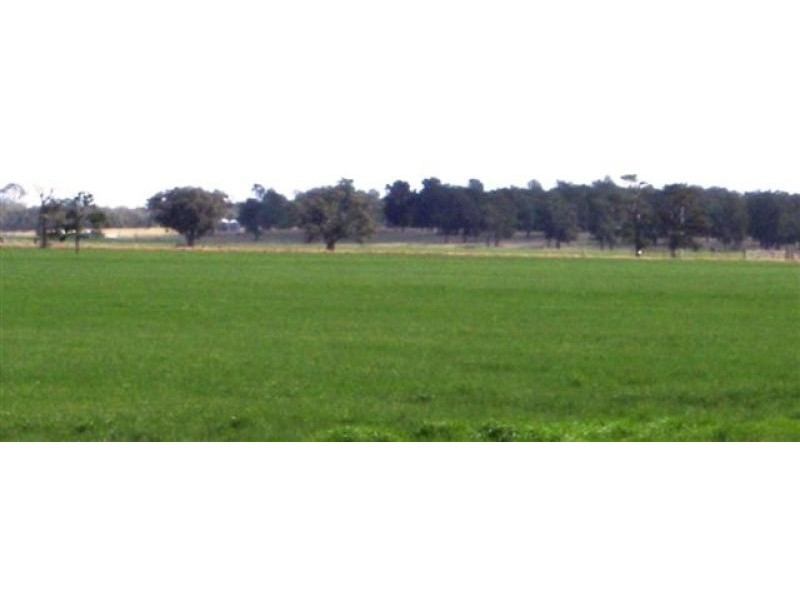Conargo NSW 2710