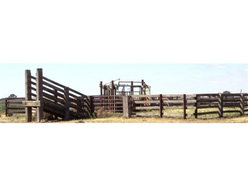 Conargo NSW 2710