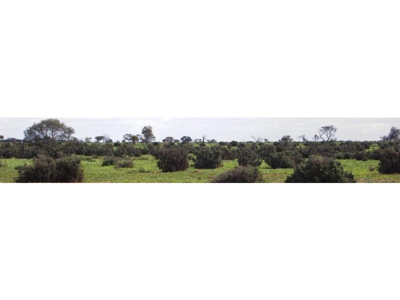 Booroorban NSW 2710