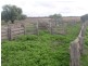 Barham NSW 2732
