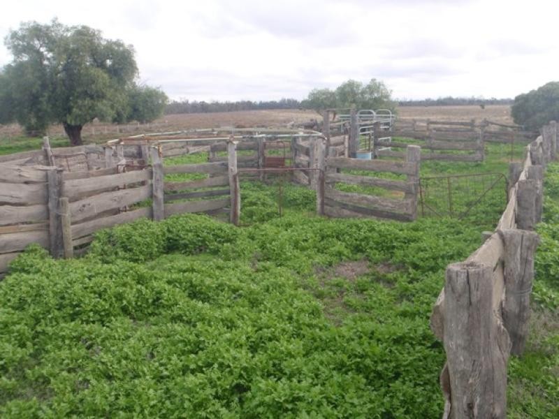 Barham NSW 2732