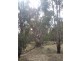 Barham NSW 2732