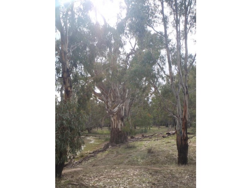 Barham NSW 2732