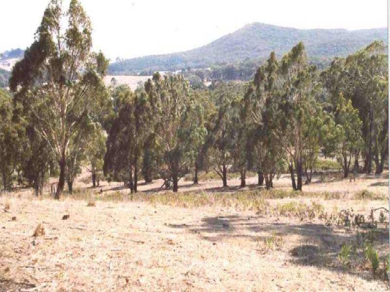 609 TOOBORAC ROAD, Lancefield VIC 3435