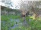 Romsey VIC 3434