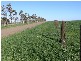 KONAGADERRA ROAD, Oaklands Junction VIC 3063