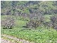 KONAGADERRA ROAD, Oaklands Junction VIC 3063