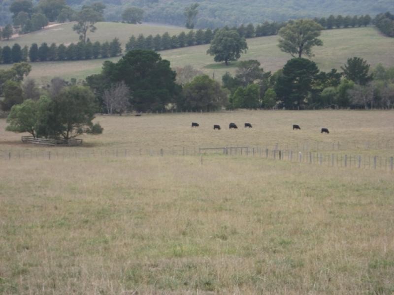 104 Bleases Lane, Yarra Glen VIC 3775