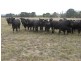 104 Bleases Lane, Yarra Glen VIC 3775