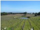 1200 Bass Highway, The Gurdies VIC 3984