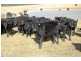King Island TAS 7256