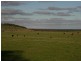 King Island TAS 7256