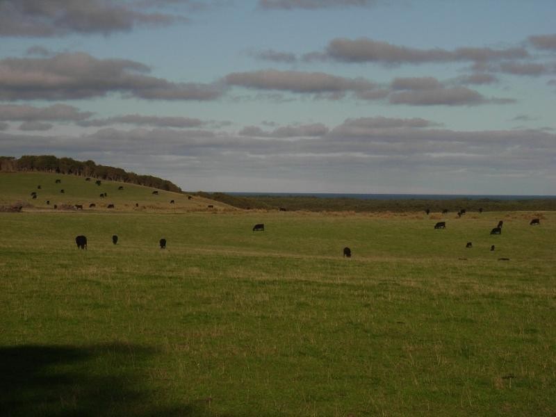 King Island TAS 7256
